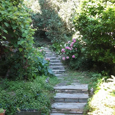 Ξενοδοχείο Le Ortensie -lago Di Lierna